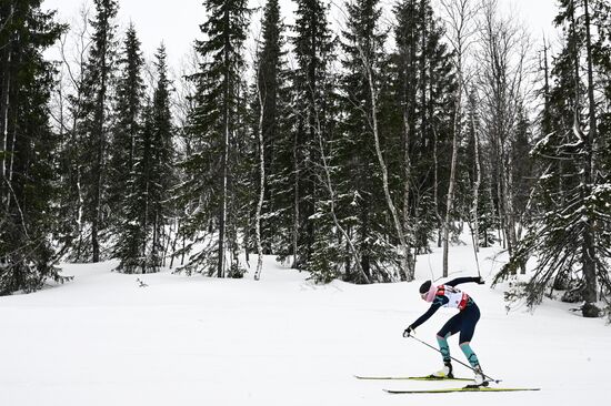Лыжные гонки. Финал Кубка России. Женщины. Свободный стиль