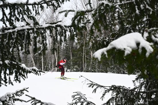 Лыжные гонки. Финал Кубка России. Женщины. Свободный стиль
