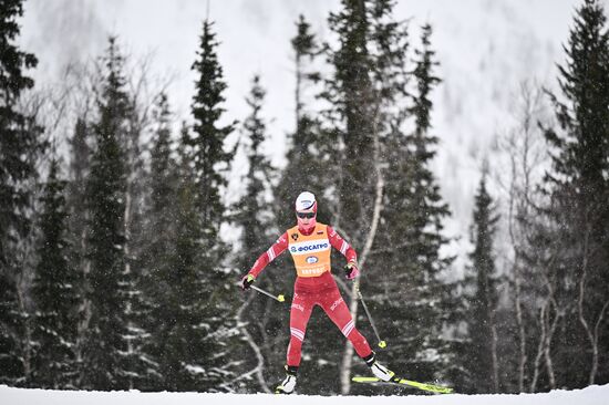 Лыжные гонки. Финал Кубка России. Женщины. Свободный стиль