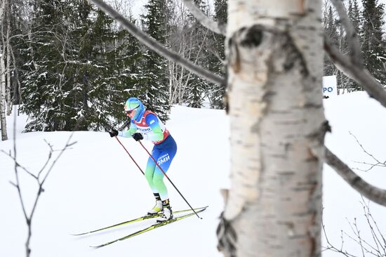 Лыжные гонки. Финал Кубка России. Женщины. Свободный стиль