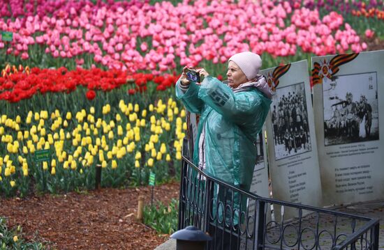 Открытие парада тюльпанов "Салют Победы" в Крыму