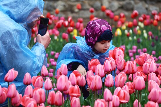 Открытие парада тюльпанов "Салют Победы" в Крыму