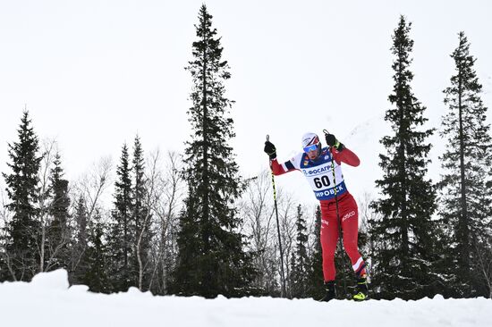 Лыжные гонки. Финал Кубка России. Мужчины. Свободный стиль 