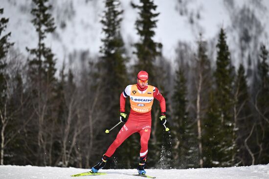 Лыжные гонки. Финал Кубка России. Мужчины. Свободный стиль 