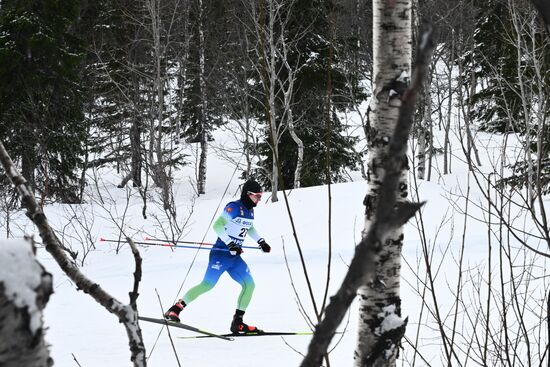 Лыжные гонки. Финал Кубка России. Мужчины. Свободный стиль 