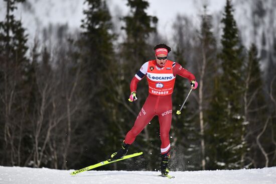 Лыжные гонки. Финал Кубка России. Мужчины. Свободный стиль 