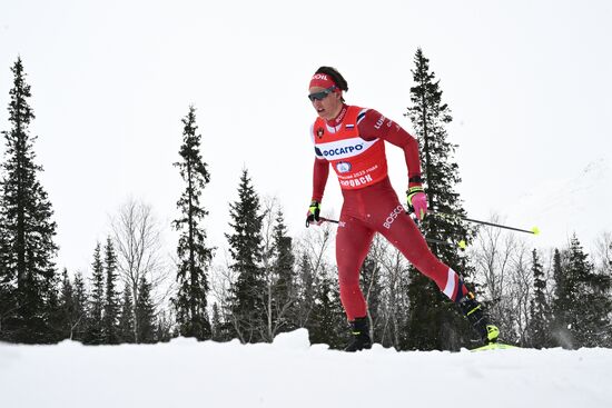Лыжные гонки. Финал Кубка России. Мужчины. Свободный стиль 