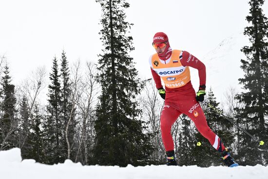 Лыжные гонки. Финал Кубка России. Мужчины. Свободный стиль 