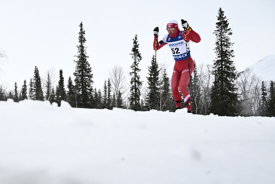Лыжные гонки. Финал Кубка России. Мужчины. Свободный стиль 