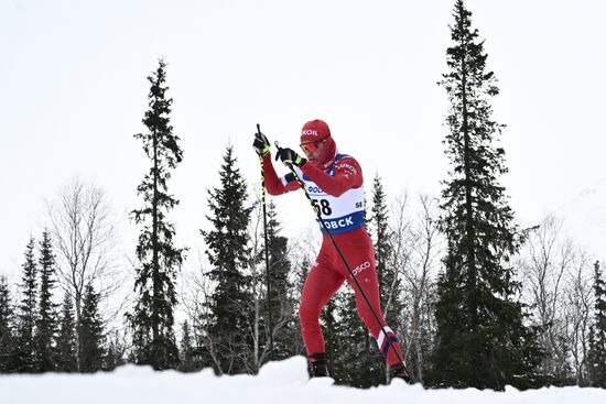 Лыжные гонки. Финал Кубка России. Мужчины. Свободный стиль 