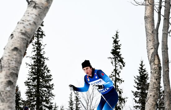 Лыжные гонки. Финал Кубка России. Мужчины. Свободный стиль 