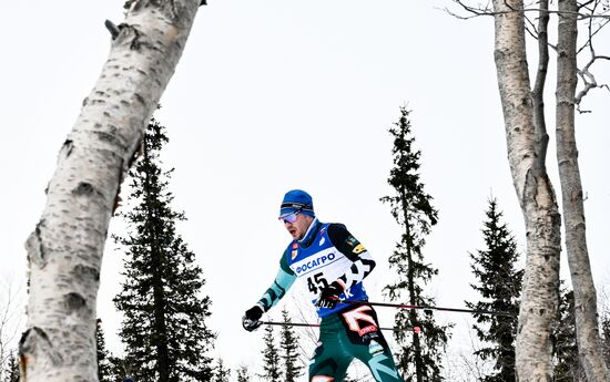 Лыжные гонки. Финал Кубка России. Мужчины. Свободный стиль 