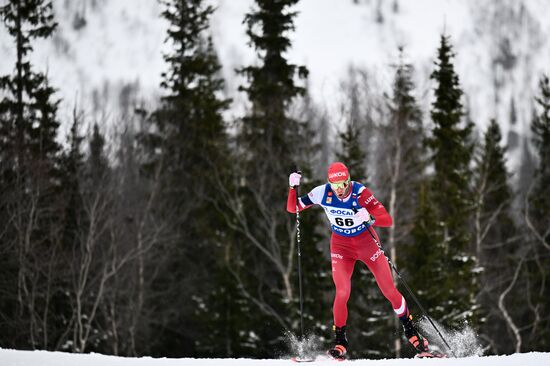 Лыжные гонки. Финал Кубка России. Мужчины. Свободный стиль 