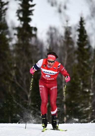 Лыжные гонки. Финал Кубка России. Мужчины. Свободный стиль 