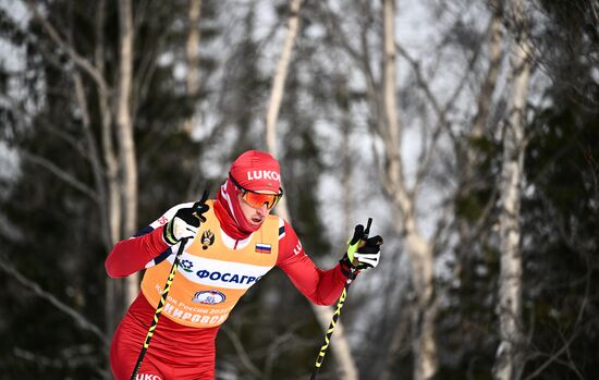 Лыжные гонки. Финал Кубка России. Мужчины. Свободный стиль 