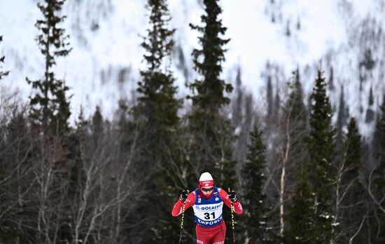 Лыжные гонки. Финал Кубка России. Мужчины. Свободный стиль 