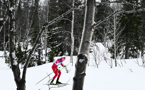Лыжные гонки. Финал Кубка России. Мужчины. Свободный стиль 