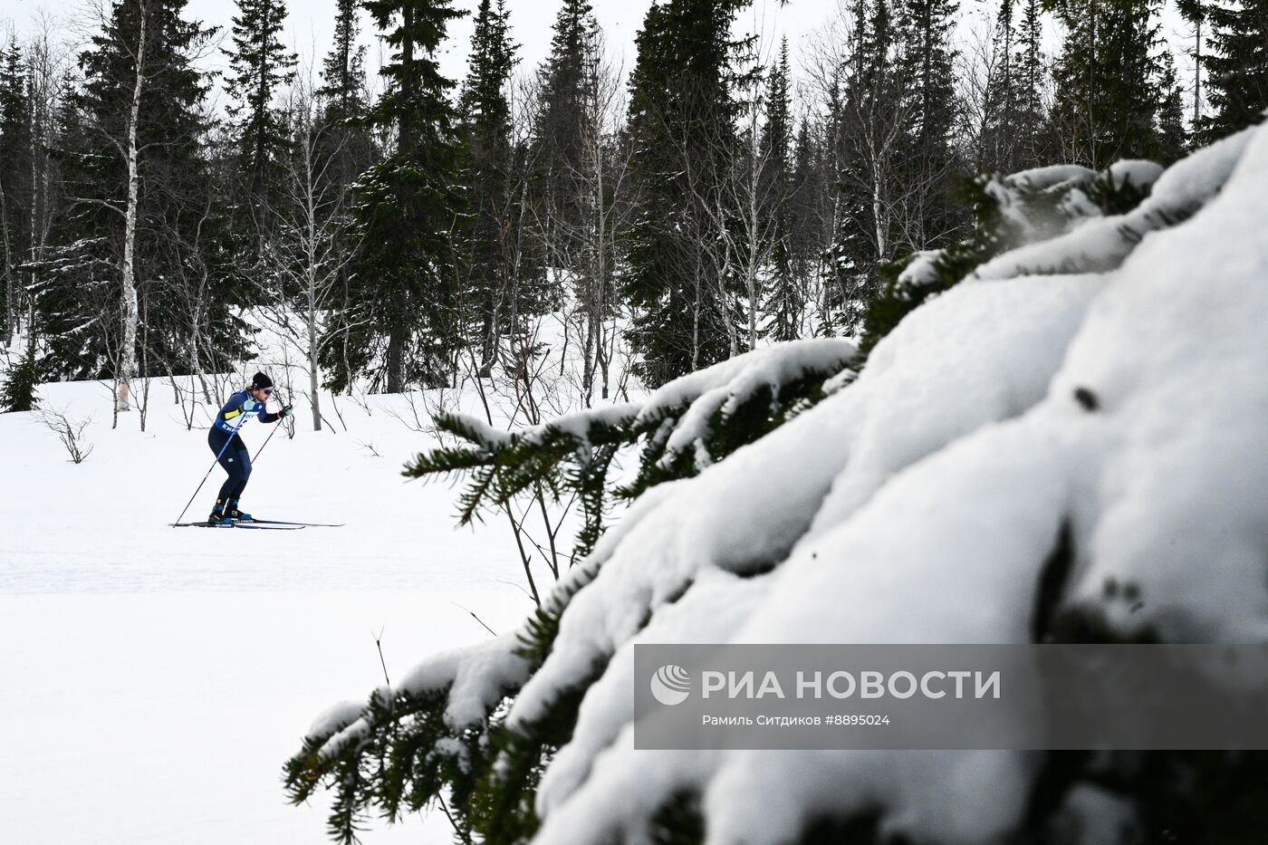 Лыжные гонки. Финал Кубка России. Мужчины. Свободный стиль