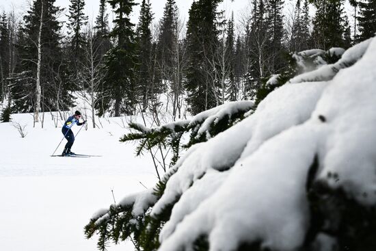 Лыжные гонки. Финал Кубка России. Мужчины. Свободный стиль 