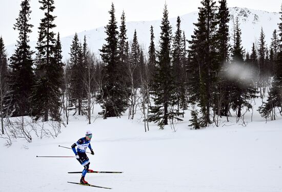 Лыжные гонки. Финал Кубка России. Мужчины. Свободный стиль 