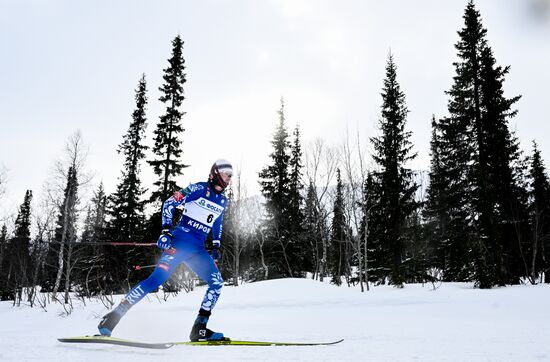 Лыжные гонки. Финал Кубка России. Мужчины. Свободный стиль 