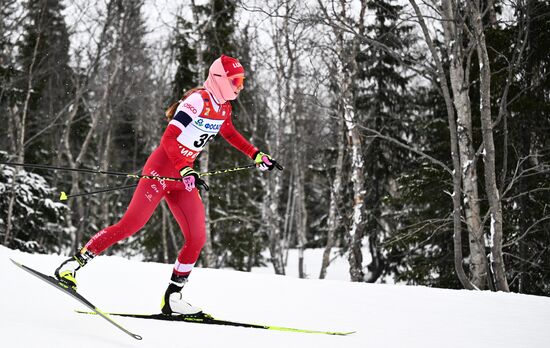 Лыжные гонки. Финал Кубка России. Женщины. Свободный стиль