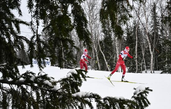 Лыжные гонки. Финал Кубка России. Женщины. Свободный стиль