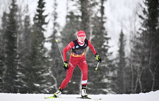Лыжные гонки. Финал Кубка России. Женщины. Свободный стиль