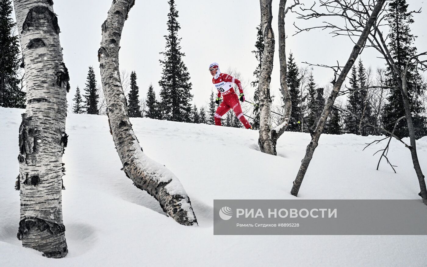 Лыжные гонки. Финал Кубка России. Женщины. Свободный стиль