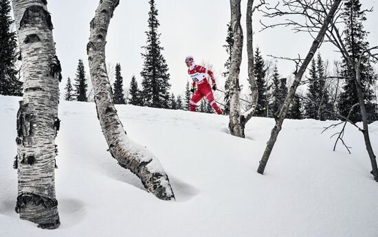 Лыжные гонки. Финал Кубка России. Женщины. Свободный стиль