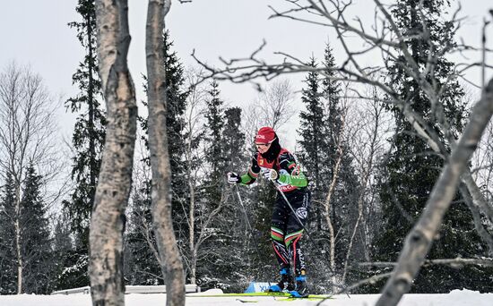 Лыжные гонки. Финал Кубка России. Женщины. Свободный стиль