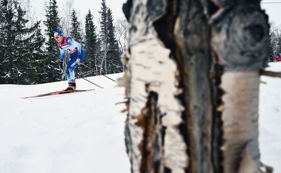 Лыжные гонки. Финал Кубка России. Женщины. Свободный стиль