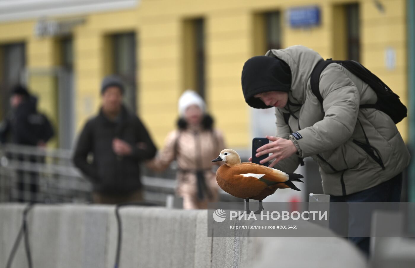 Повседневная жизнь