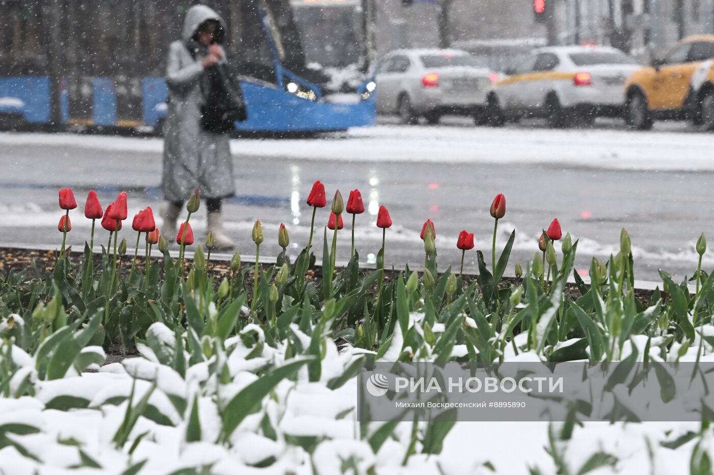 Снег в Москве