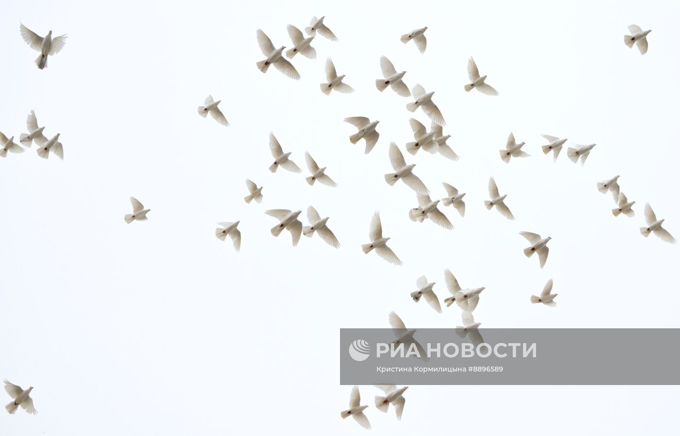 Патриарх Кирилл выпустил голубей в праздник Благовещения