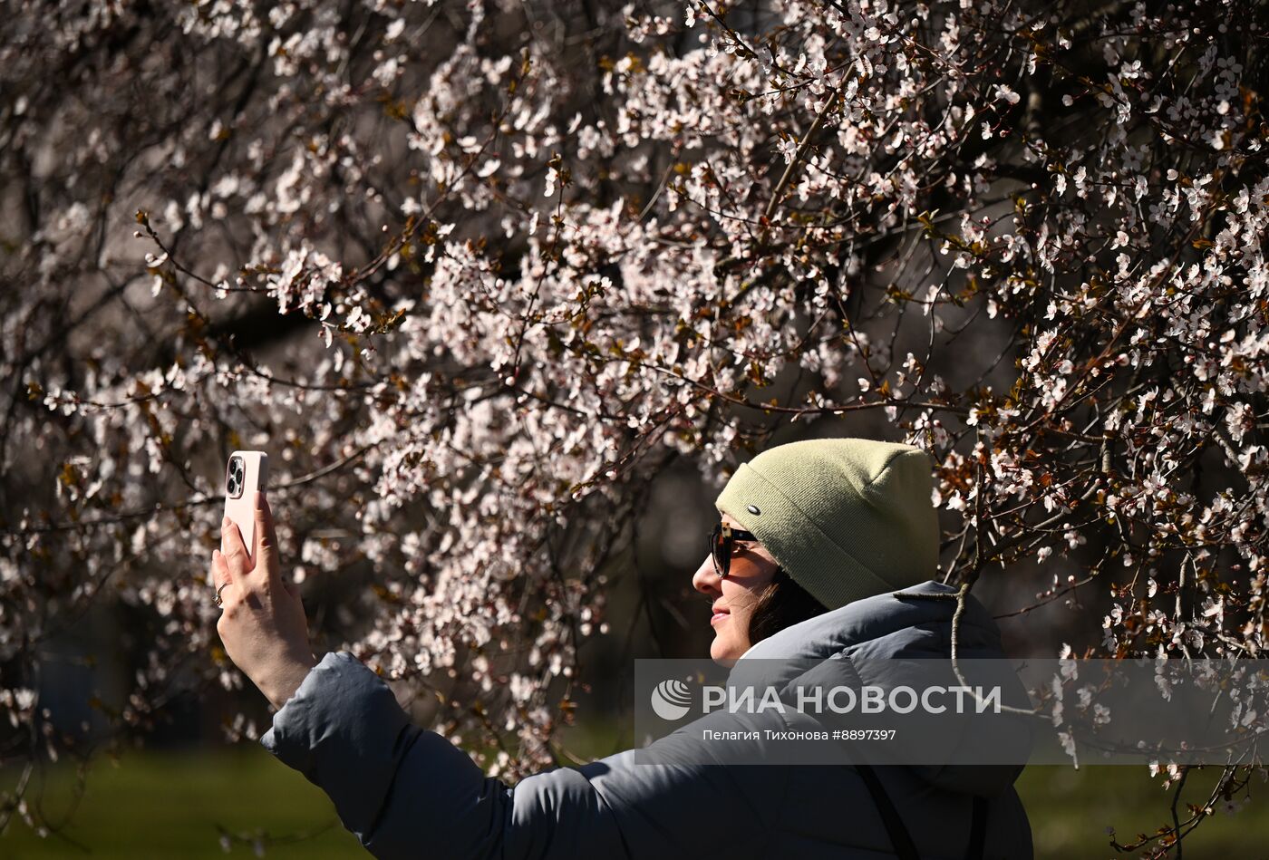 Города России. Калининград
