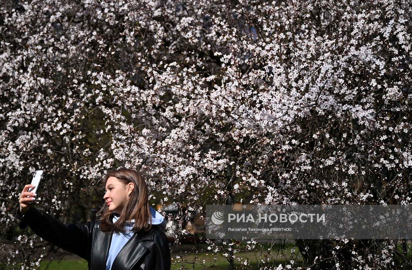Города России. Калининград