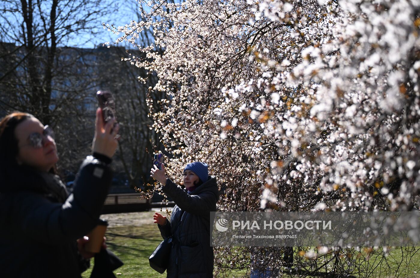 Города России. Калининград