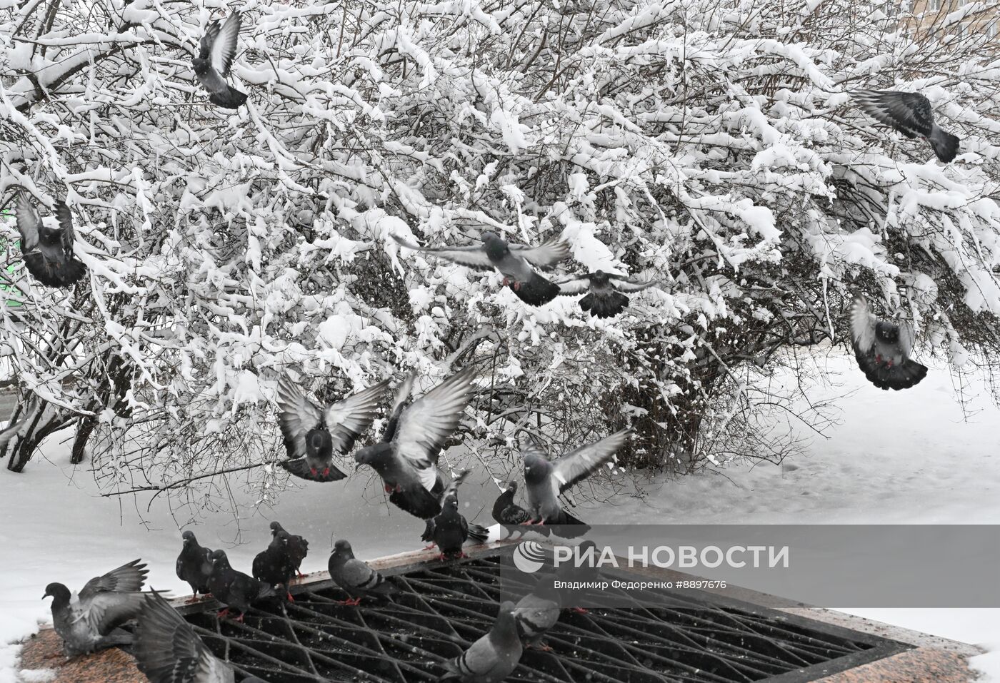 Циклон "Зион" принёс в Москву сильный снегопад 