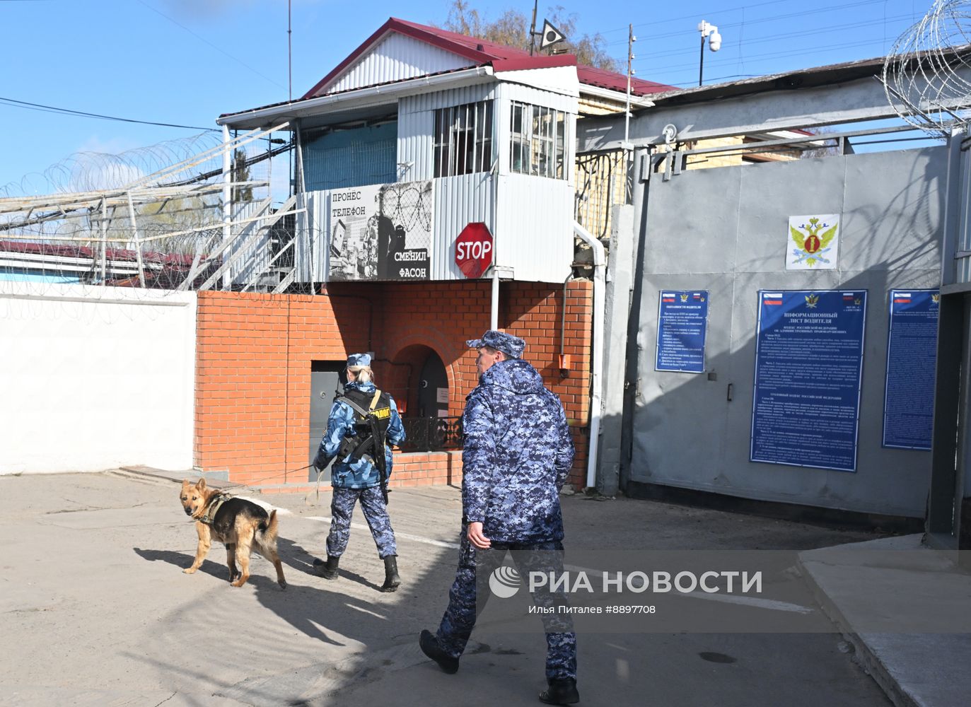 Актера М. Ефремова освободили из колонии по УДО