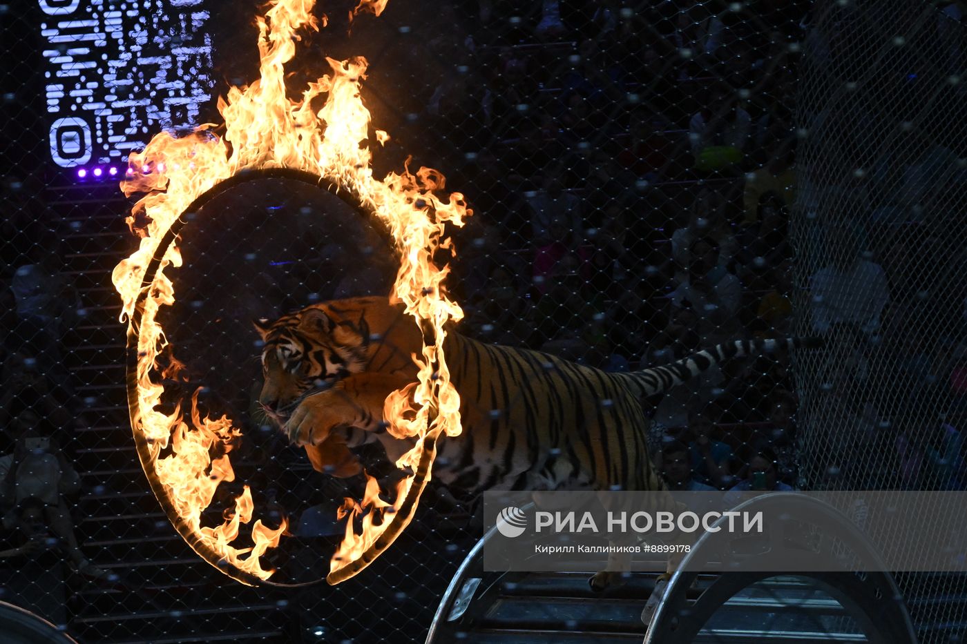 Открытая репетиция в Большом Московском цирке