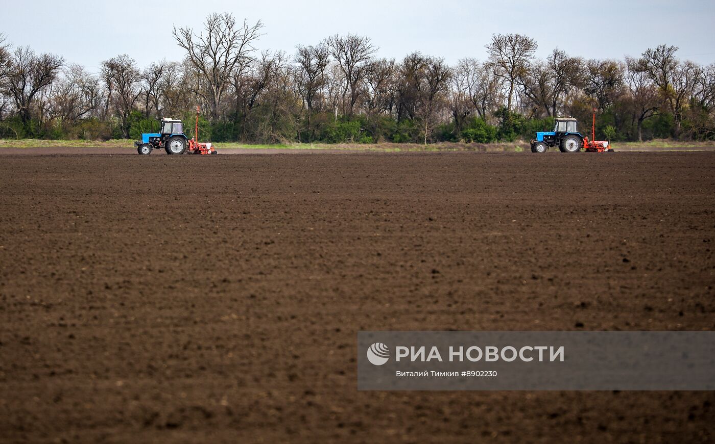 Посевные работы в Краснодарском крае