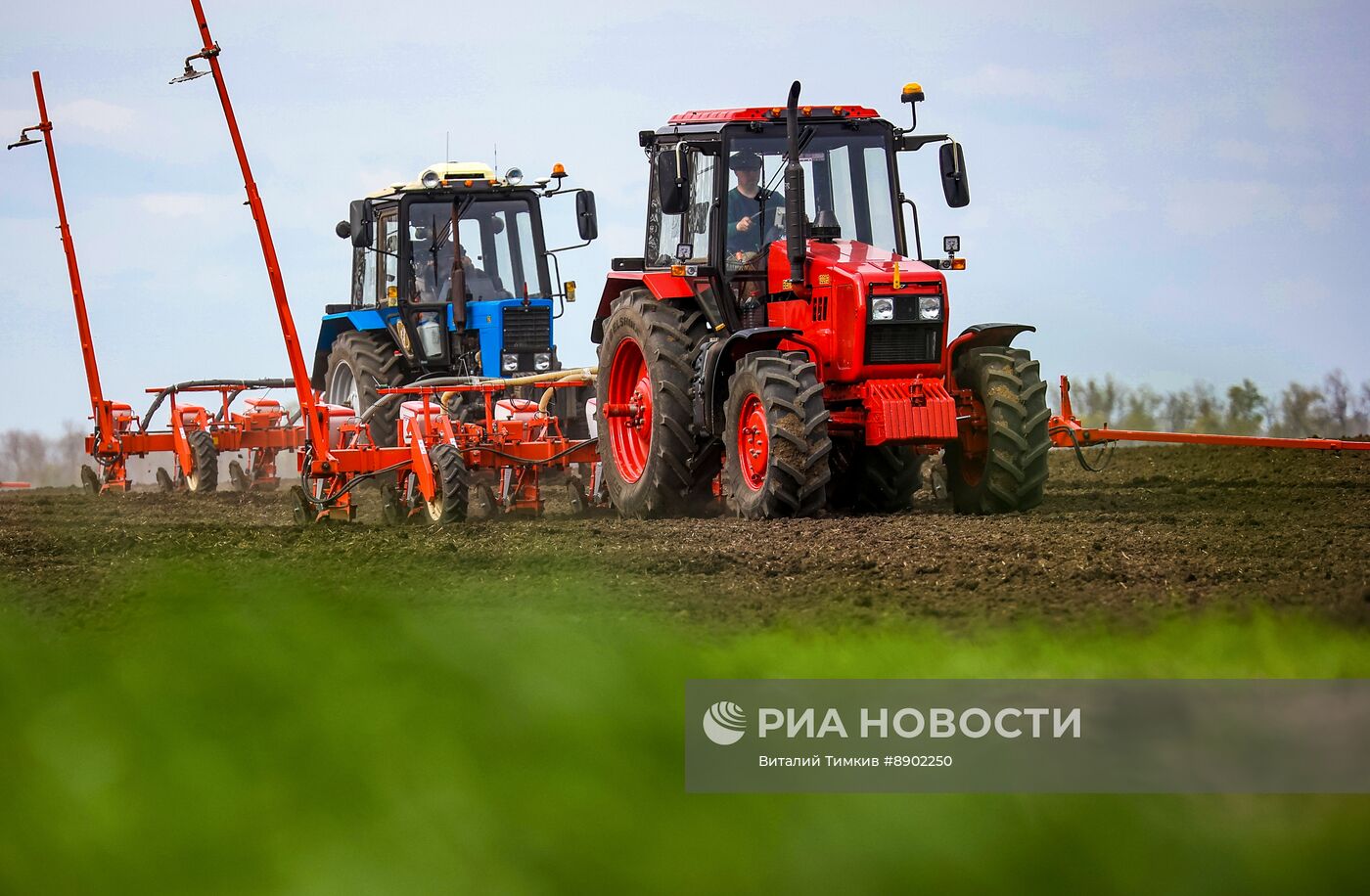 Посевные работы в Краснодарском крае