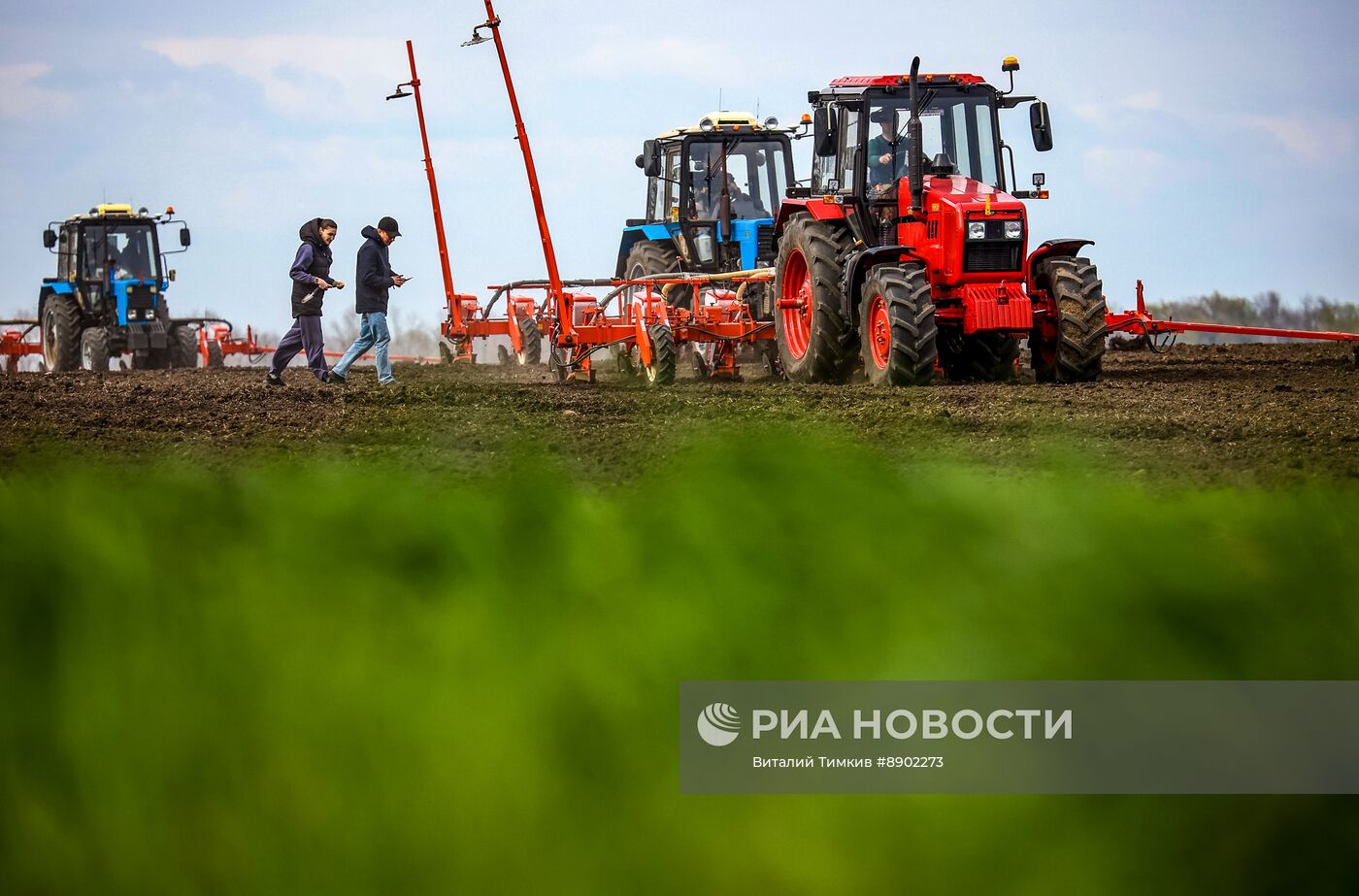 Посевные работы в Краснодарском крае