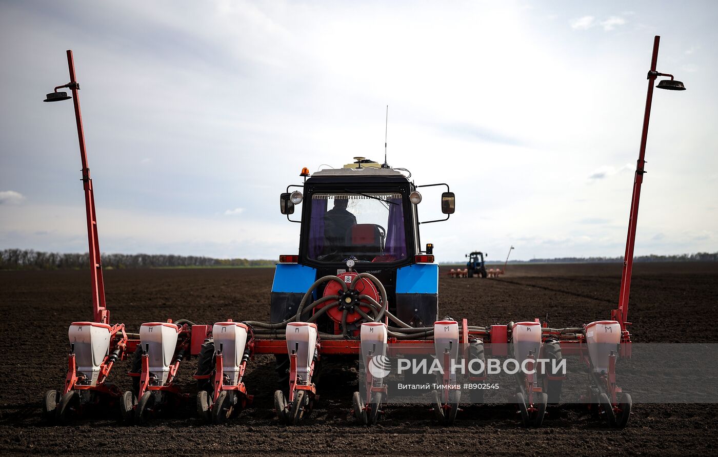 Посевные работы в Краснодарском крае