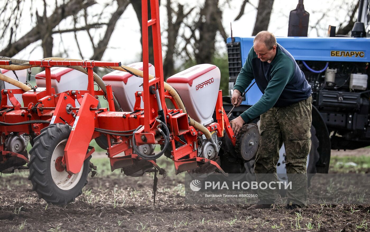 Посевные работы в Краснодарском крае