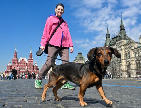Весна в Москве