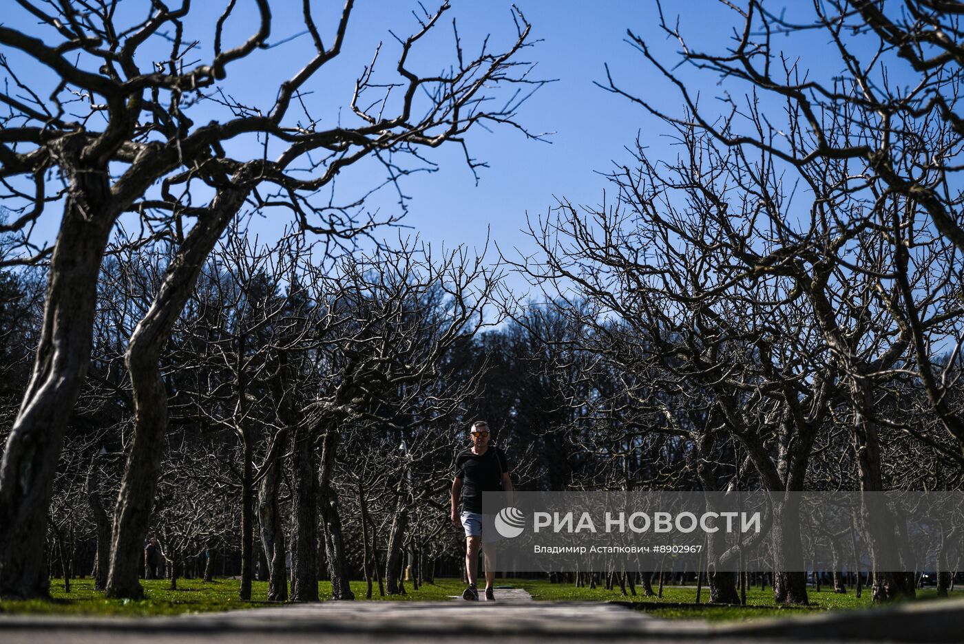Весна в Москве