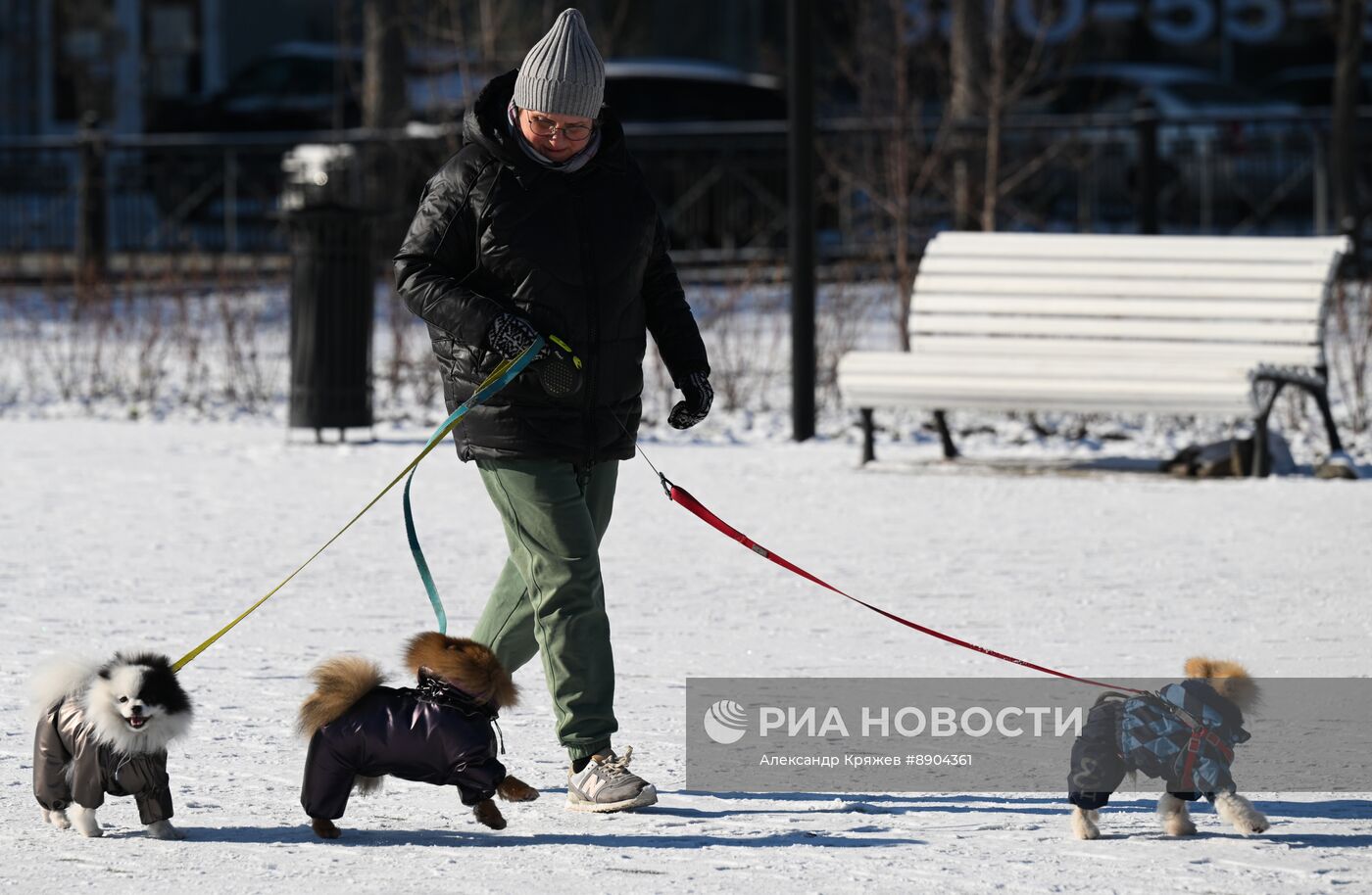 Снежная погода в Новосибирске