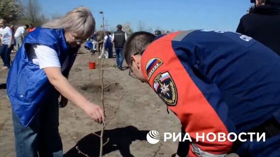 "Аллея героев" в Запорожской области